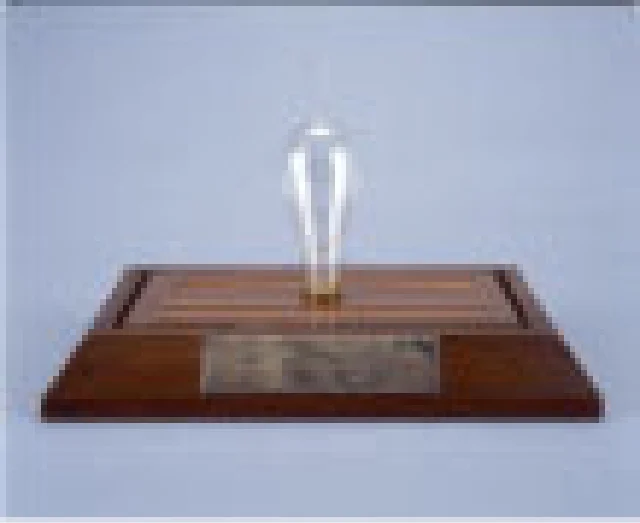 竹フィラメント電球