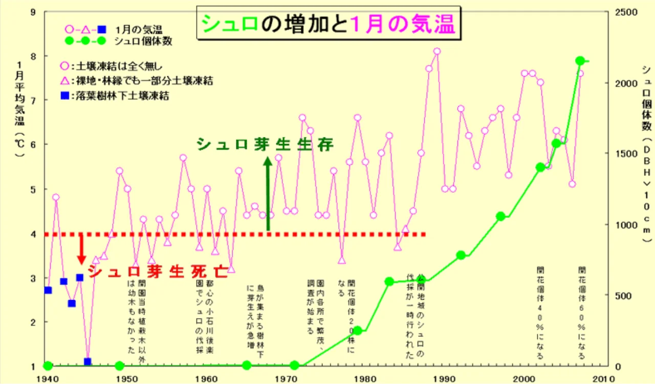 シュロの増加と1月の気温