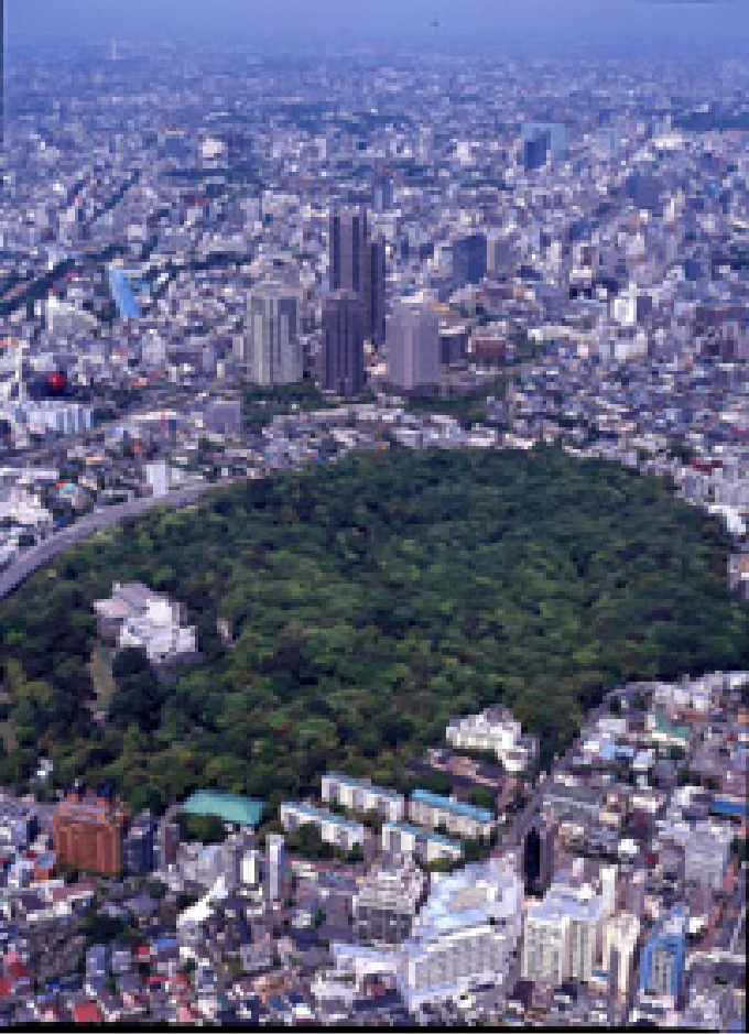 自然教育園