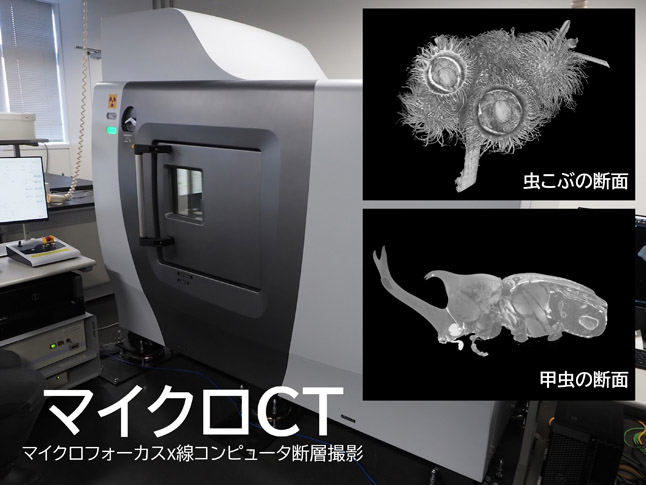 マイクロCT装置とその解析画像