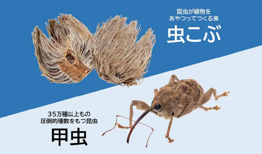 米国における恐竜絶滅層（K-Pg境界層）の調査 | 国立科学博物館