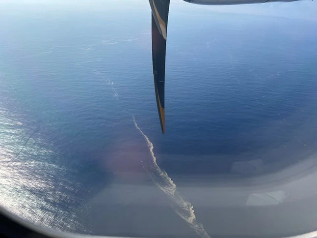 奄美群島の沖合に到達した軽石ラフトの筋