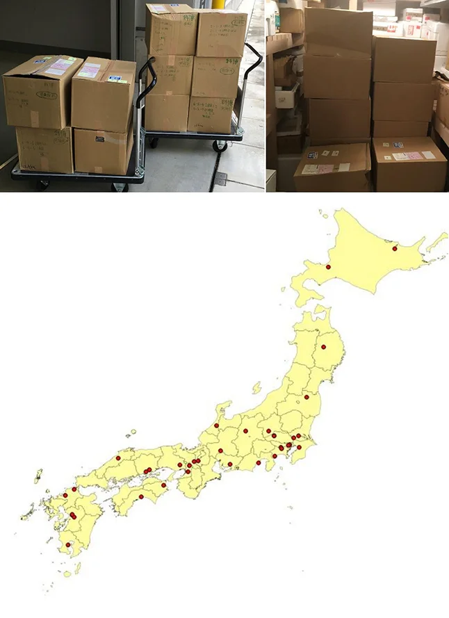 現地からの標本搬出から乾燥・修復着手まで