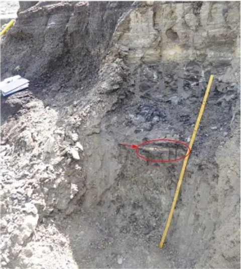 米国における恐竜絶滅層（K-Pg境界層）の調査 | 国立科学博物館