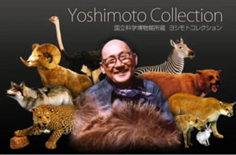ヨシモトコレクション