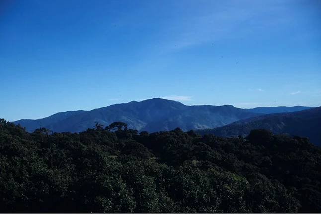 ビクトリア山