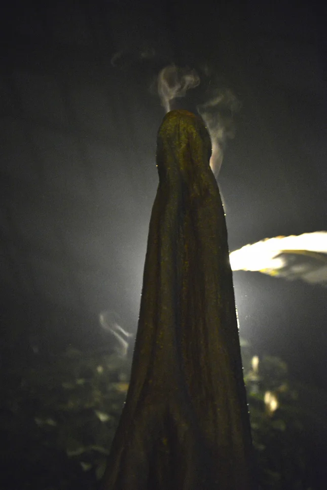 付属体から立ち昇る湯気