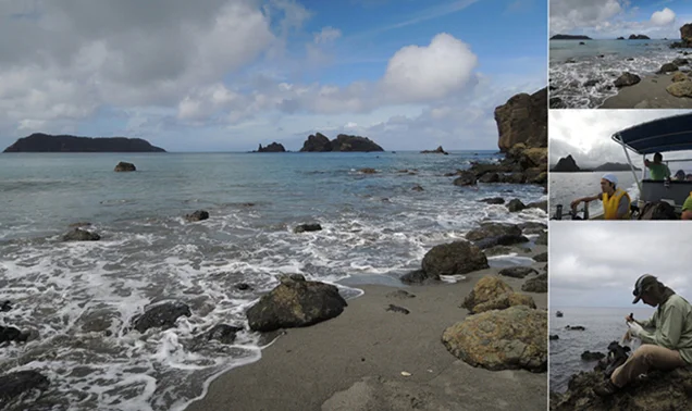 弟島の調査風景