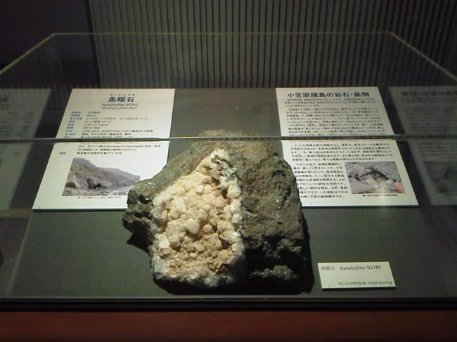 兄島で採取した魚眼石資料の展示
