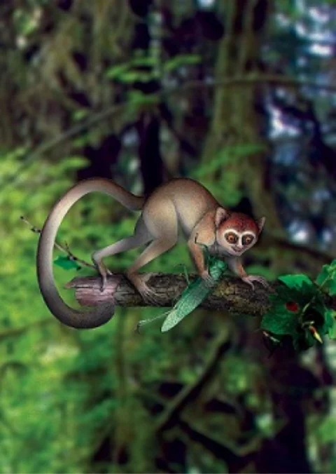 アーキケプスの想像図