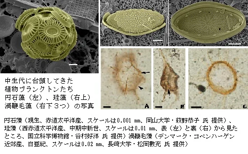 大量絶滅と珪藻の起源