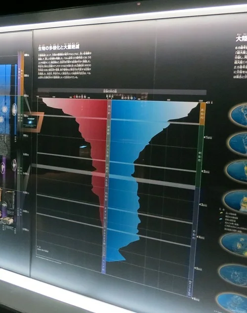 P／T境界における大量絶滅を示すグラフ
