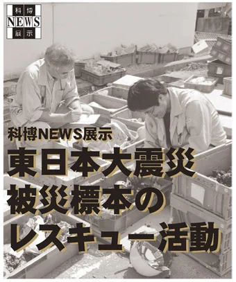 東日本大震災　標本レスキュー活動