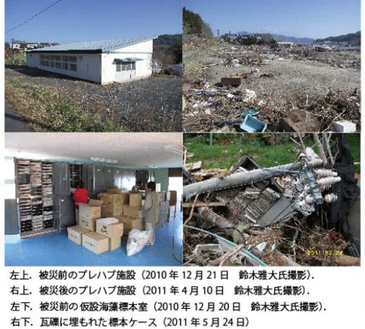 山田町立鯨と海の科学館