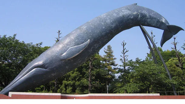 科博＿シロナガスクジラ