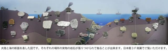 大陸と海の断面