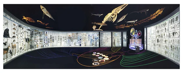 博物館の自然史研究とバイオミメティック