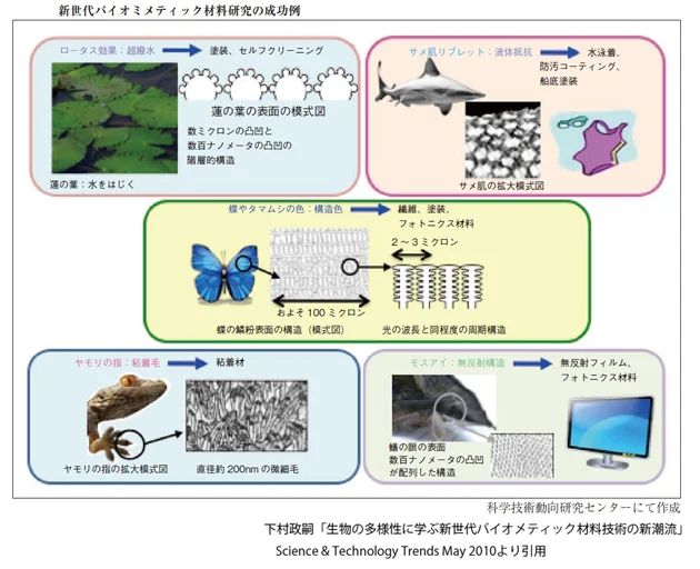 新世代バイオミメティック材料研究の成功例