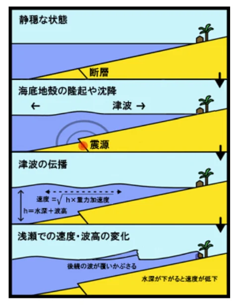 津波の発生と伝播