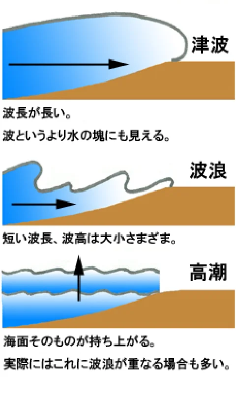 津波と波の違い