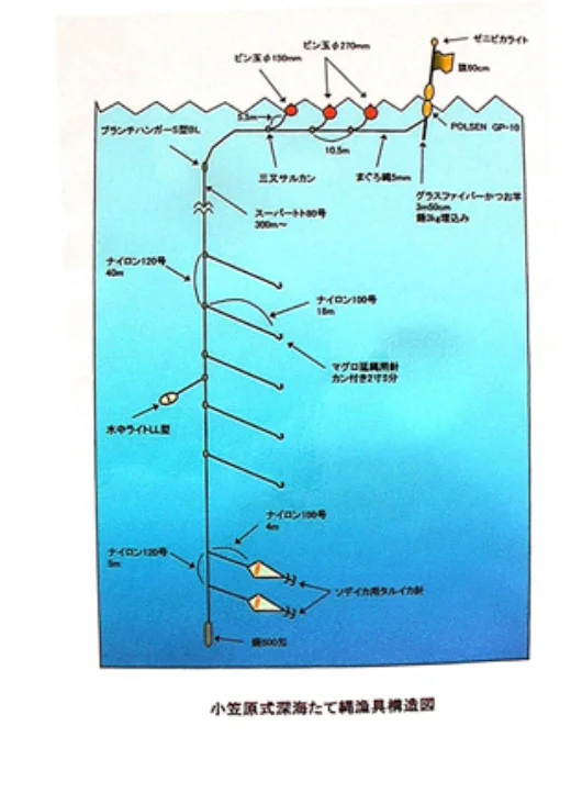 小笠原式深海縦縄漁具構造図