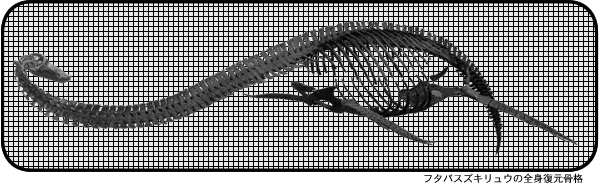 �t�^�o�X�Y�L�����E�̑S�g�������i�̉摜