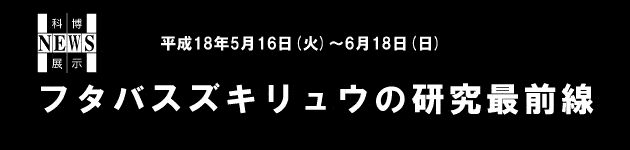 �t�^�o�X�Y�L�����E�̌����őO��