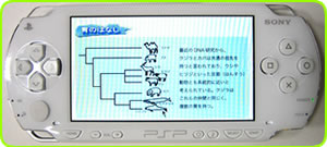 �����ʂ̗�1