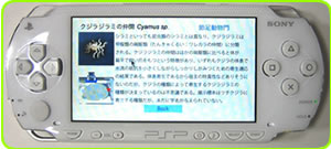 �����ʂ̗�2