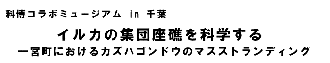 �Ȕ��R���{�~���[�W�A�� in ��t�@�C���J�̏W�c���ʂ��Ȋw����@��{���ɂ�����J�Y�n�S���h�E�̃}�X�X�g�����f�B���O