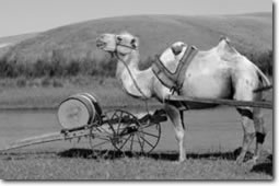 ���N�_�ʐ^�摜