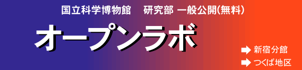 �I�[�v�����{ ��������ʌ��J�@�V�h���فA���Βn��