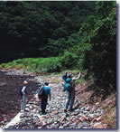 �ɓ������ɂ����闤��A���̒���