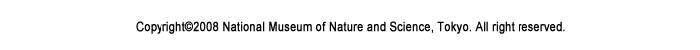 �R�s�[���C�g
