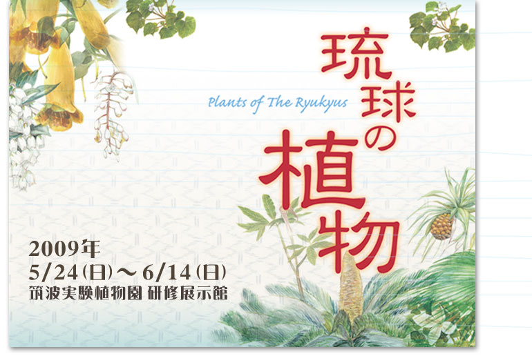 �����̐A���g�b�v�摜