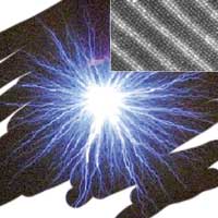 �����v���Y�}�@�}�O�l�V�E������