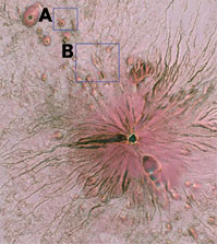 �ԐF���̒n�}