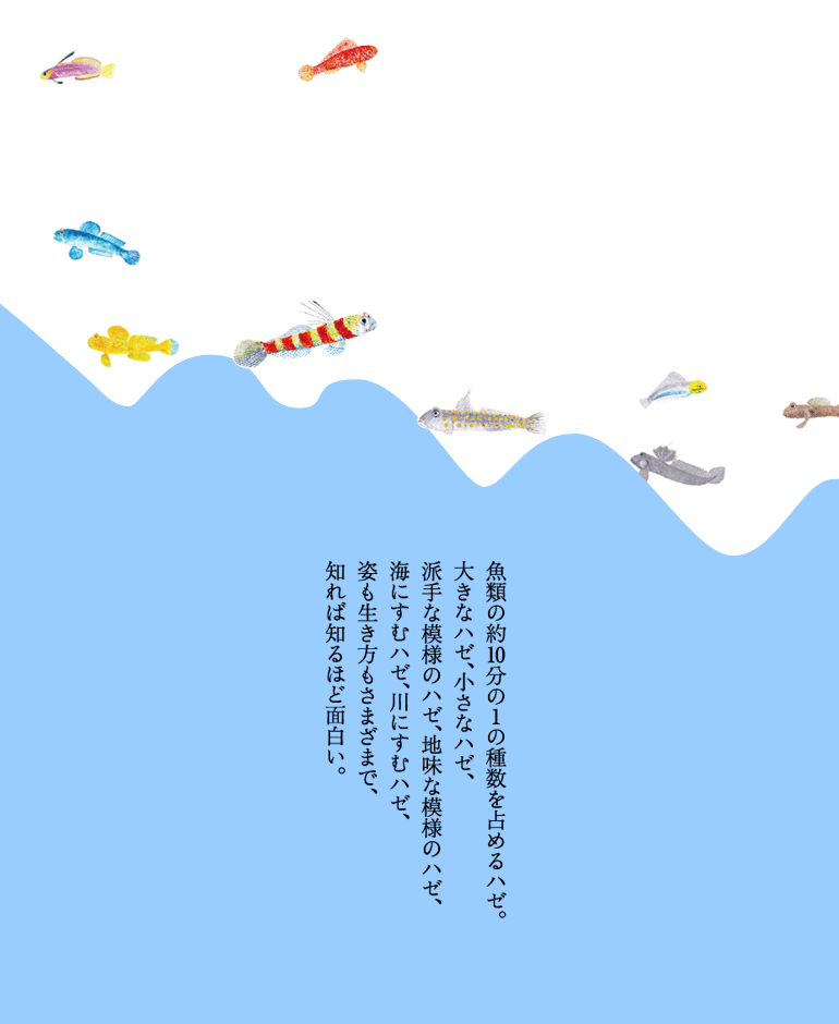 ���ނ̖�P�O���̂P�̎퐔���߂�n�[�B�傫�ȃn�[�A�����ȃn�[�A�h��ȃn�[�A�n���Ȗ͗l�̃n�[�A�C�ɂ��ރn�[�A��ɂ��ރn�[�A�p�������������܂��܂ŁA�m��Βm��قǖʔ����B