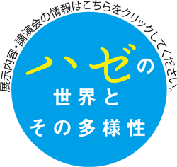 �n�[�̐��E�Ƃ��̑��l��