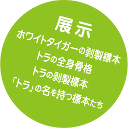 �W���@�z���C�g�^�C�K�[�̔����W�{�@�g���̑S�g���i�A�g���̔����W�{�@�u�g���v�̖������W�{����