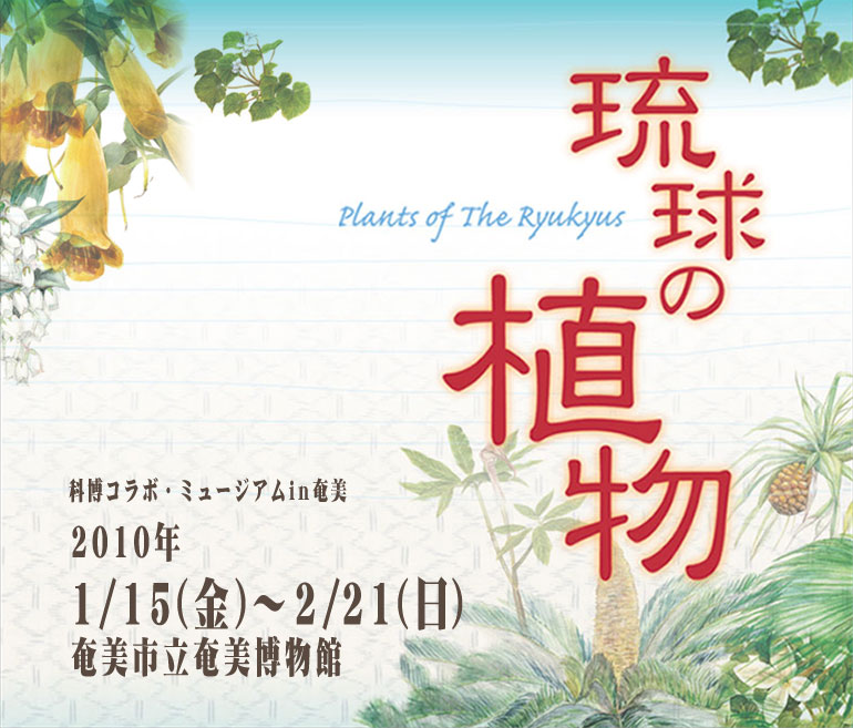 �����̐A���g�b�v�摜