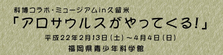 �Ȕ��R���{�E�~���[�W�A��in�v���� �A���T�E���X������Ă���I�����Q�Q�N�Q���P�R���y�j�`�����Q�Q�N�S���S�����j���������N�Ȋw��