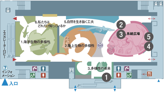 �n���كt���A�}�b�v�@�P�K