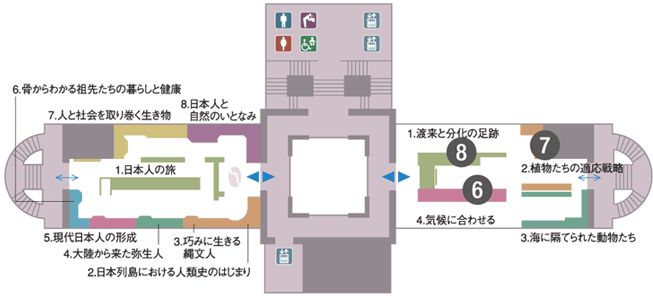 ���{�كt���A�}�b�v�@�Q�K