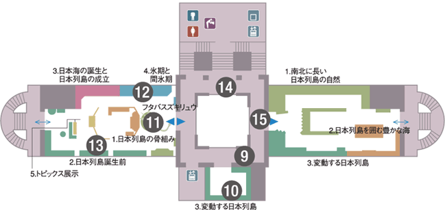 ���{�كt���A�}�b�v�@�R�K