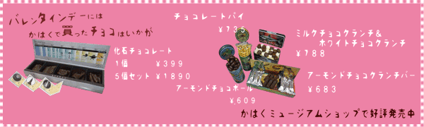 �o�����^�C���f�[�ɂ͂��͂��Ŕ������`���R�͂������@���΃`���R���[�g�@�`���R���[�g�p�C�@�A�[�����h�`���R�{�[���@�`���R���[�g�p�C�@�~���N�`���R�N�����`���z���C�g�`���R�N�����`�@�A�[�����h�`���R�N�����`�o�[�@���͂��~���[�W�A���V���b�v�ōD�]������