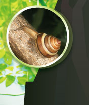 �N�}�h�����}�^�J�}�C�}�C