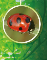 �i�i�z�V�e���g�E