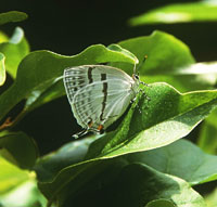 �~�Y�C���I�i�K�V�W�~