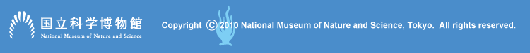 �����Ȋw�����ف@Copyright 2010 National Museum of Nature and Science, Tokyo.  All rights reserved.